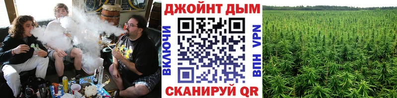 магазин    Краснослободск  Шишки марихуана план 